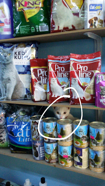 MOLLY PET SHOP