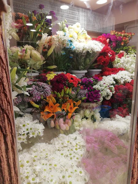 Moonlight Flowers & Han Organizasyon
