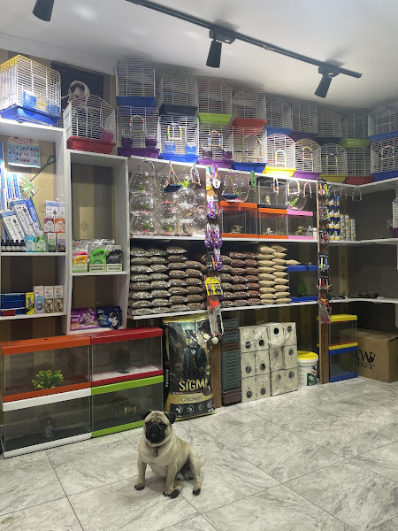 Muhabbetim petshop