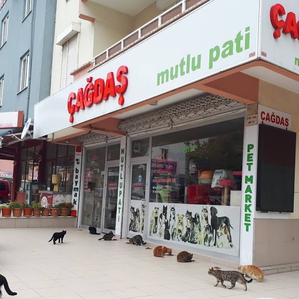 MUTLU PATİ PET MARKET