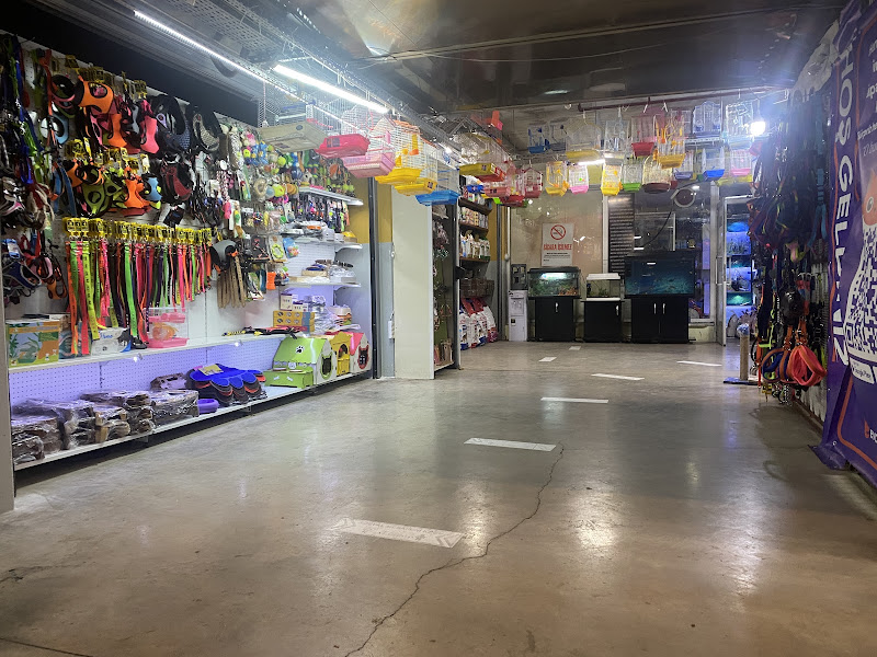 Mutlu Patiler Petshop