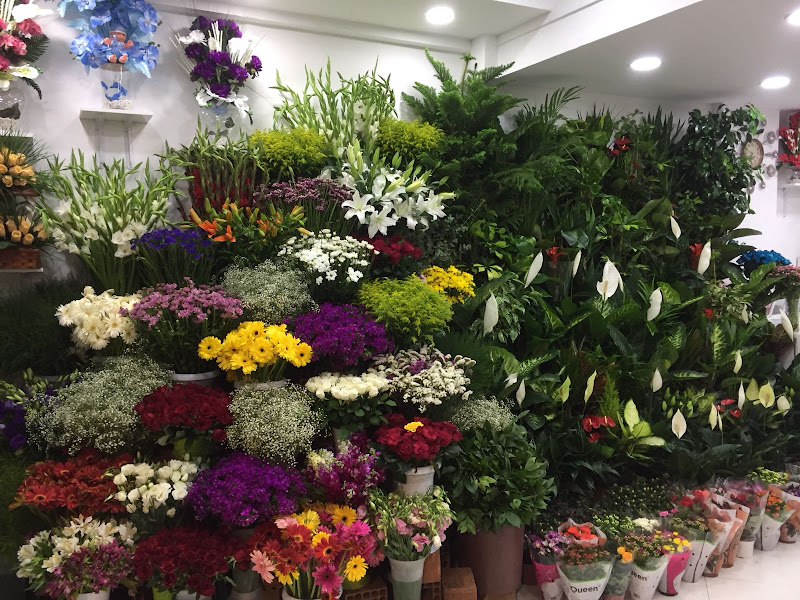 MY FLOWERS ÇİÇEKÇİM YUSUF