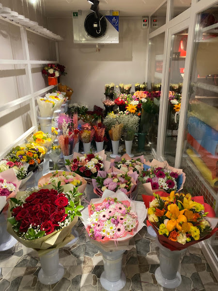 MyFlowers Antalya | Flower Delivery & Gift Shop