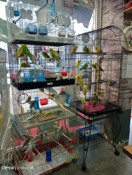Naz petshop
