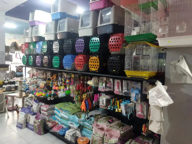 Nevşehir Kapodokya petshop
