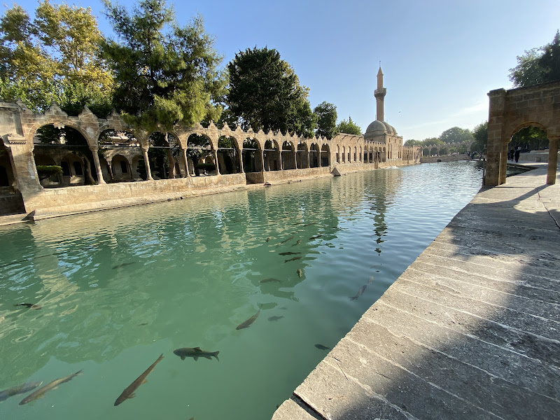 Nice Turizm | Sivas Çıkışlı Turlar