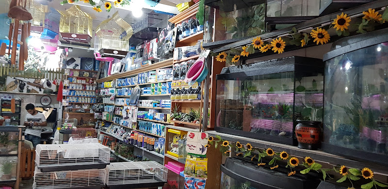 Niğde Sümelya petshop