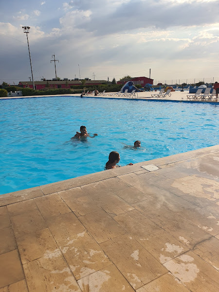 Niğde Yüzme Kulubü