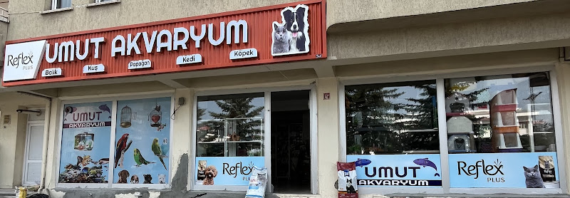Ödül Pet Shop