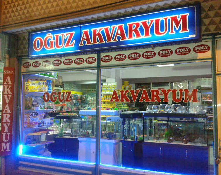 Oguz Akvaryum
