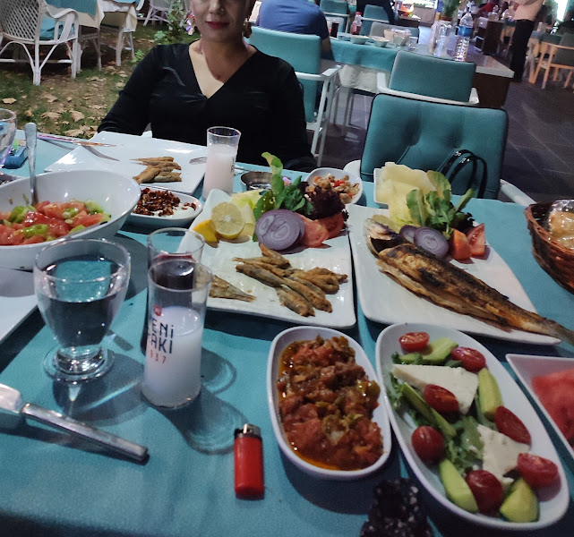 Okyanus balık Silvan kasap