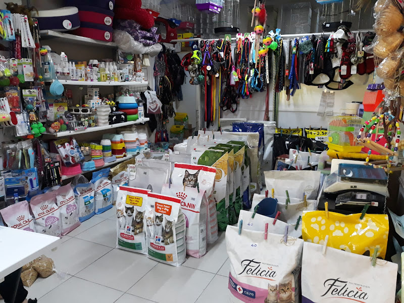 Okyanus PetShop