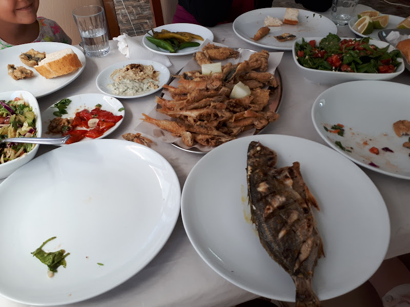 Önder Balıkçılık