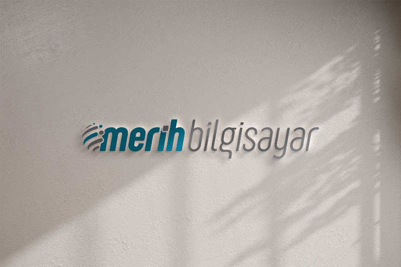 Onur bilişim sistemleri