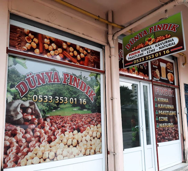 Ordu Dünya Fındık (Fındık Kırma - Kavurma - Paketleme - Ezme ve Satış)