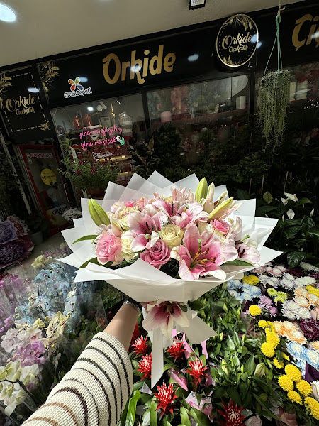 Orkide Çiçekçilik