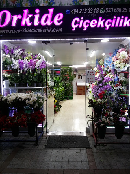 ORKİDE Çiçekçilik Rize