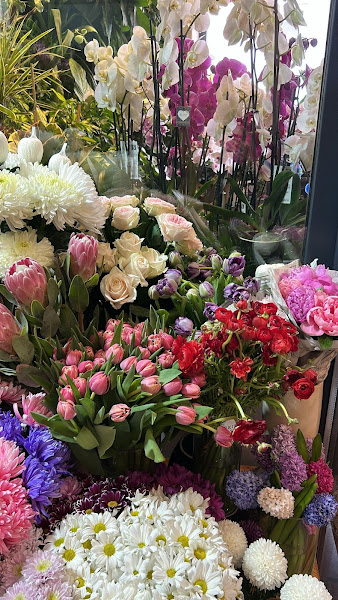 Orkide Flower Bilecik