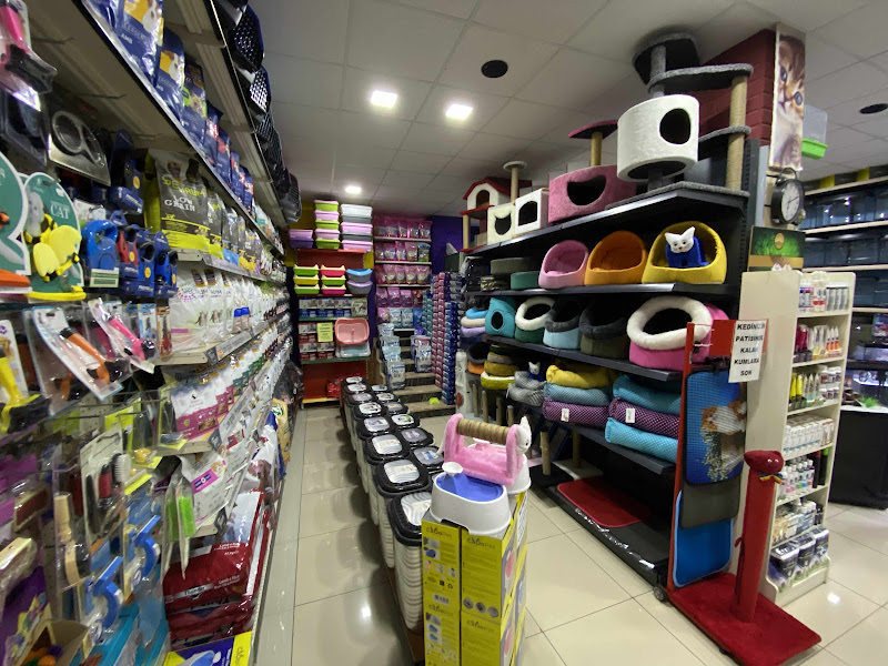 Ortadoğu Akvaryum ve Pet Shop