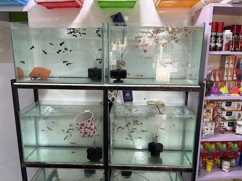 Osmaniye Pee Petshop