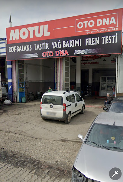 Oto DNA