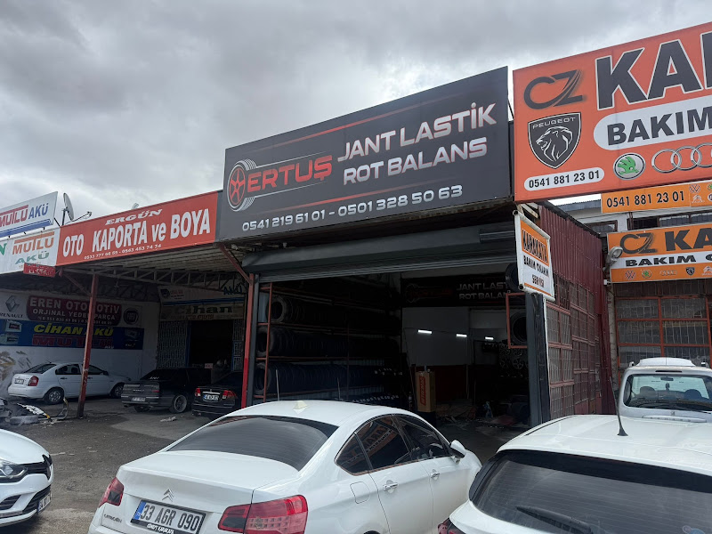Otopratik Aydınlar