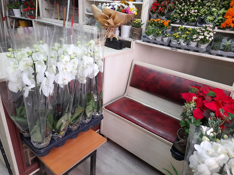ÖZEN CICEK EVİ