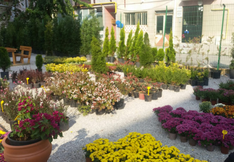 Özgün Peyzaj Kırklareli
