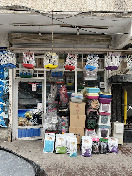 Özgür Akvaryum