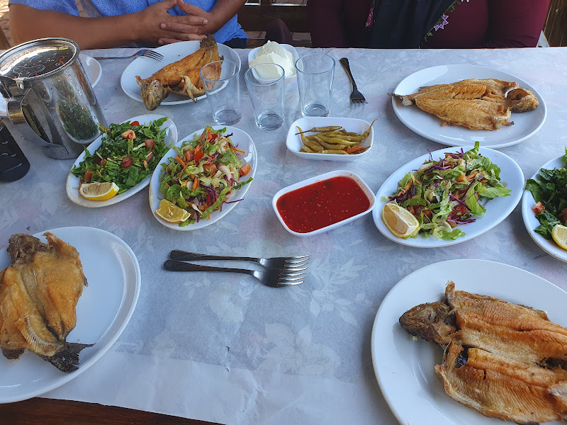 Özyurt alabalık tesisleri