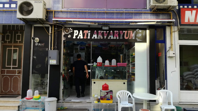 Pati Akvaryum