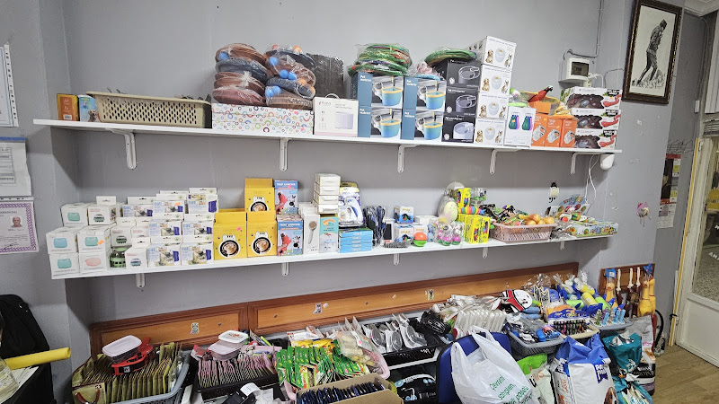 Pati Home 59 Petshop - Temipet