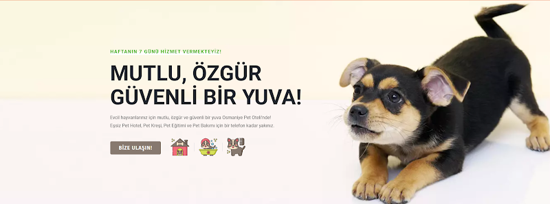 Pati Pet Evcil Hayvan Oteli