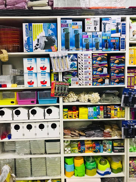 Pati Petshop Tatvan