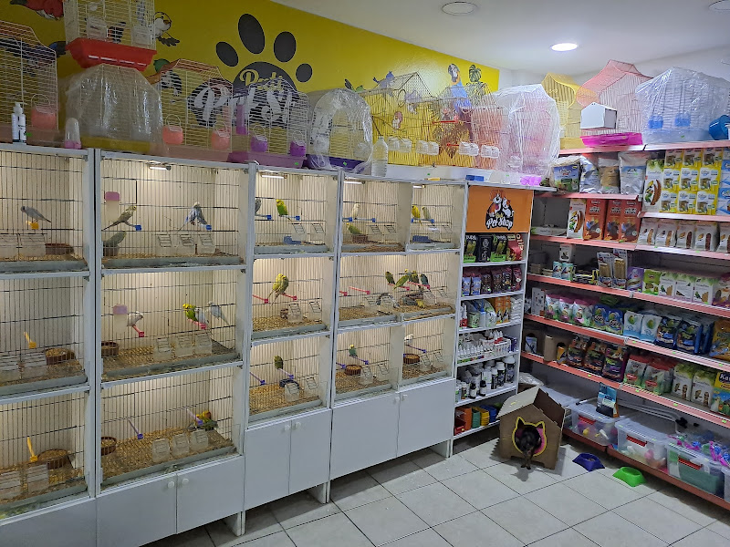 Pati Petshop trabzon