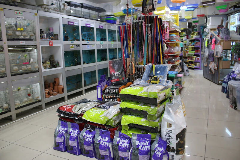 Pati'ş Petshop