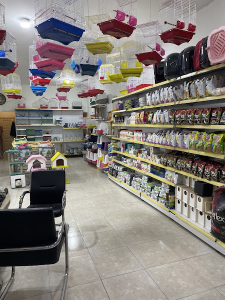 Pati Sarayı