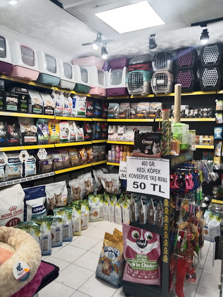 Pati Time Petshop