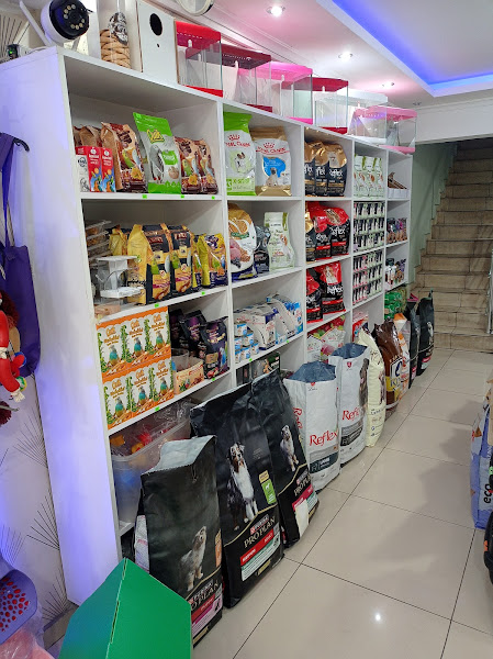 Patiland Petshop