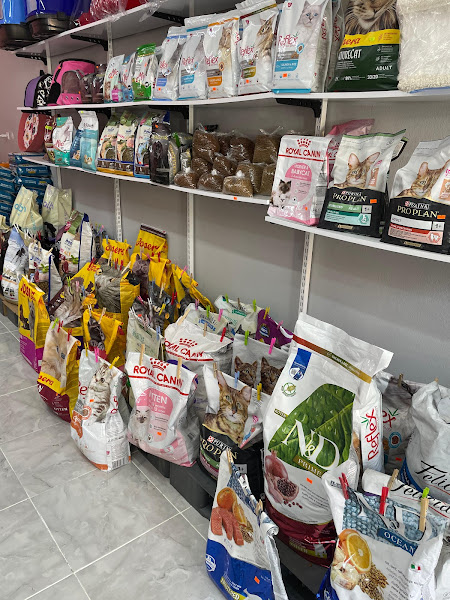 Patilerin Dükkanı | PETSHOP