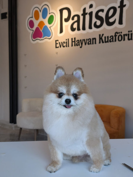 Patiset Evcil Hayvan Kuaförü Artuklu
