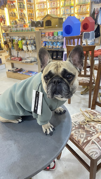 Pawtopya Petshop