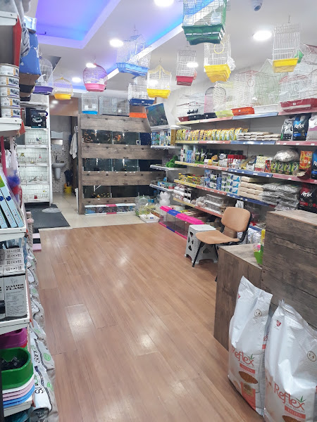 Pet Adana Petshop