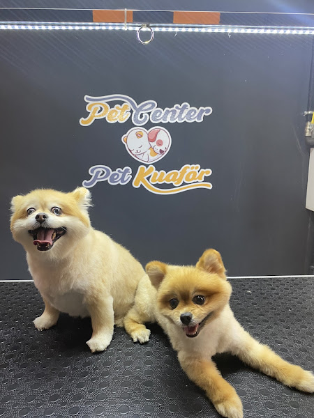 Pet Center | Tosya Yolu