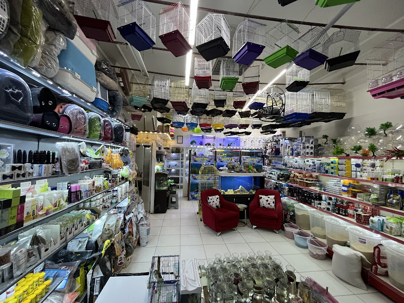 Pet Market Poyraz