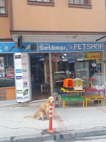 Pet Shop Bursa