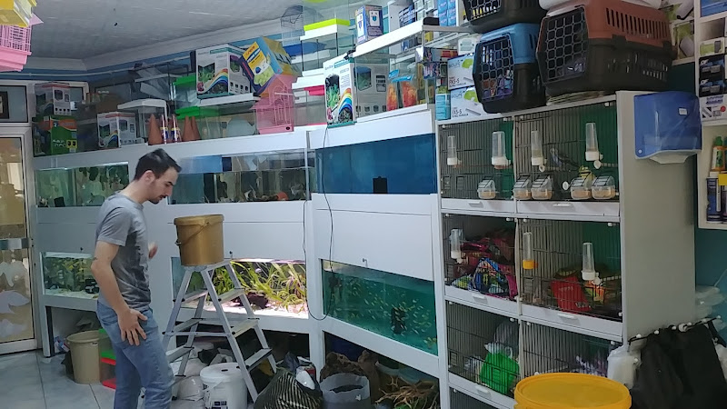 Pet Shop Marketim - Kocaeli ve İzmit Akvaryum Mağazası