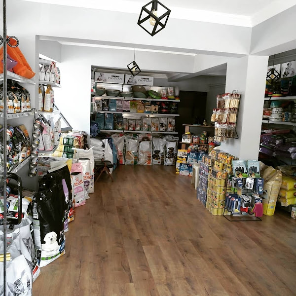 Petin17 Petshop Çanakkale