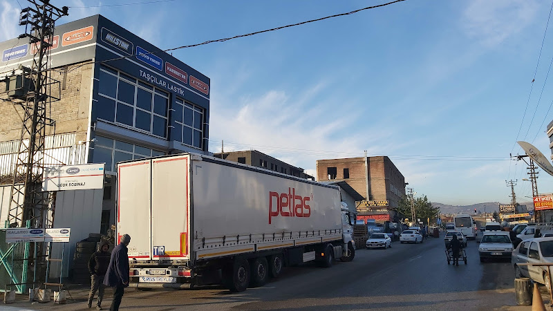 PETLAS-Mehmet Tahir Saraç