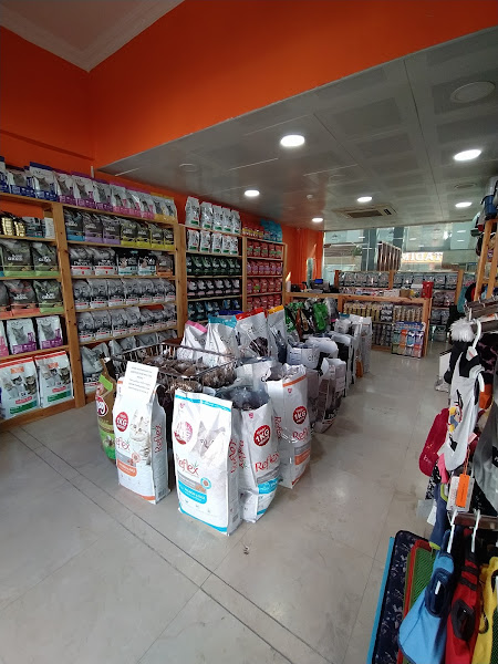 Petmudo Petshop - Adrese & Mağazadan Teslim Petshop Hizmeti